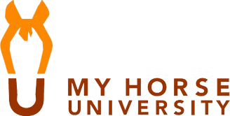 Michigan State University's My Horse University